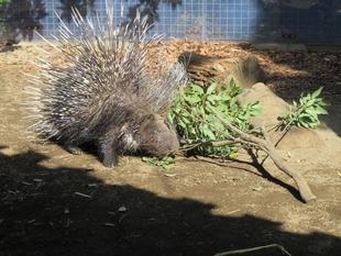 新築工事‼（解体編）