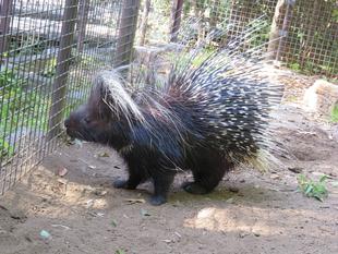 新築工事‼ （新築編）