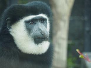 木の葉の旬がやってきた！