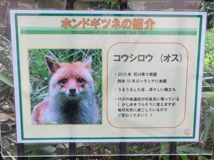 たくさんありがとうございました！！