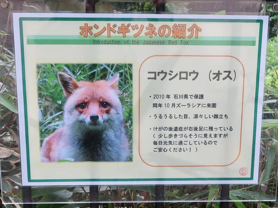 たくさんありがとうございました!!の写真