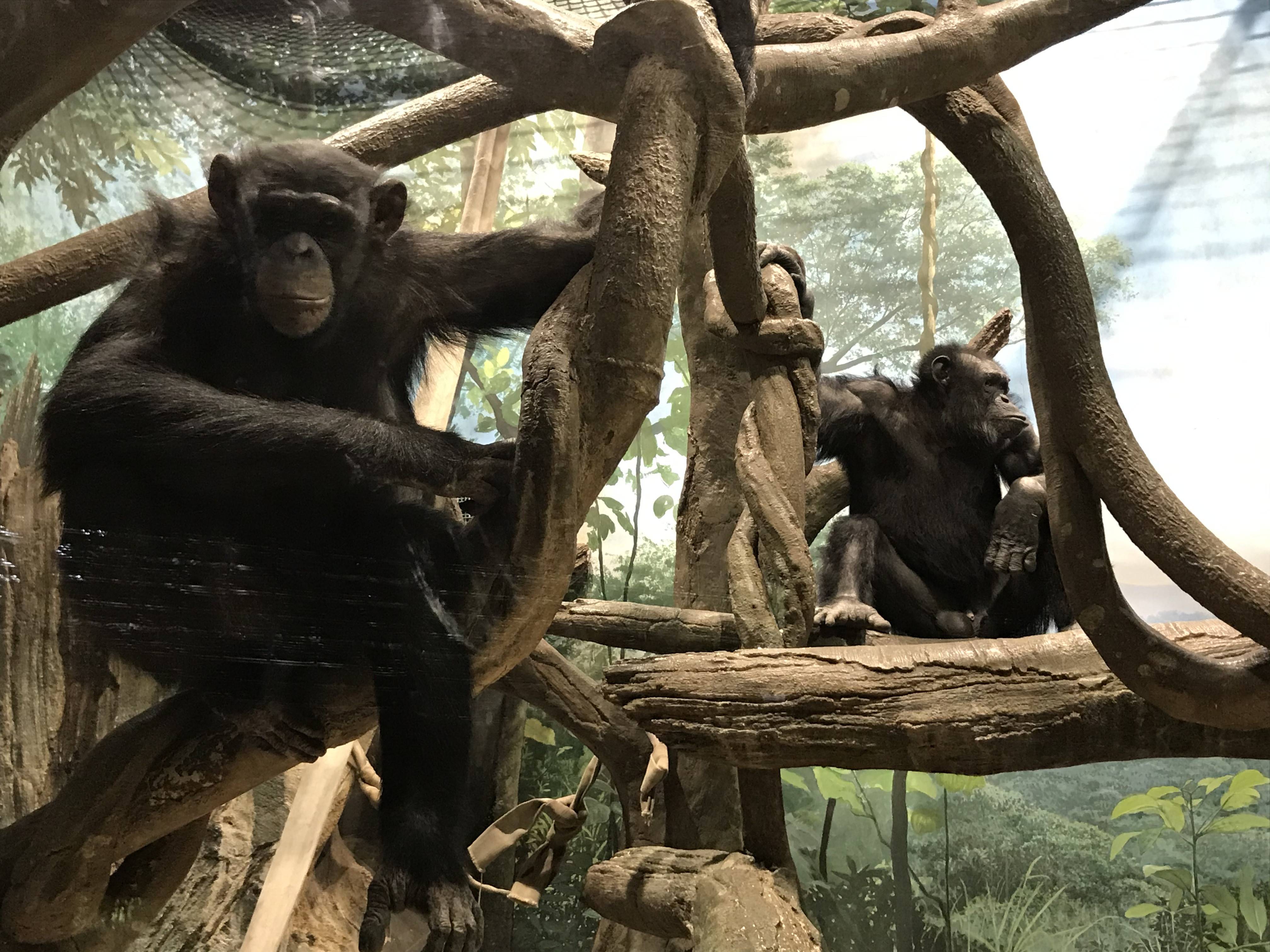 ゴウとカズヤの写真