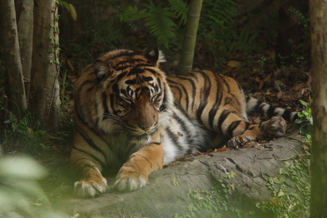 眠いZzz・・・(デル編-1)の写真