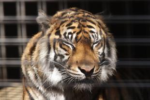 眠いZzz・・・(ラウト編)