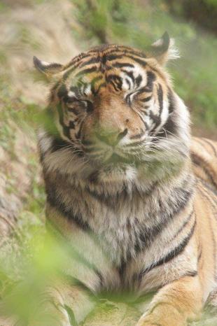 眠いZzz・・・(デル編-2)