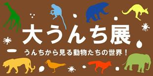 大うんち展、5月31日まで!