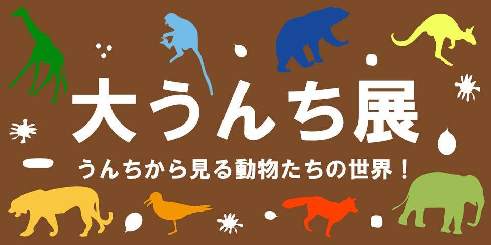 大うんち展、5月31日まで!の写真
