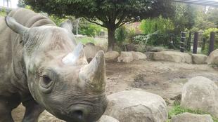 4月は頑張りました(^^)v