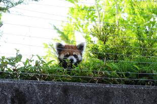 視線を感じる・・・