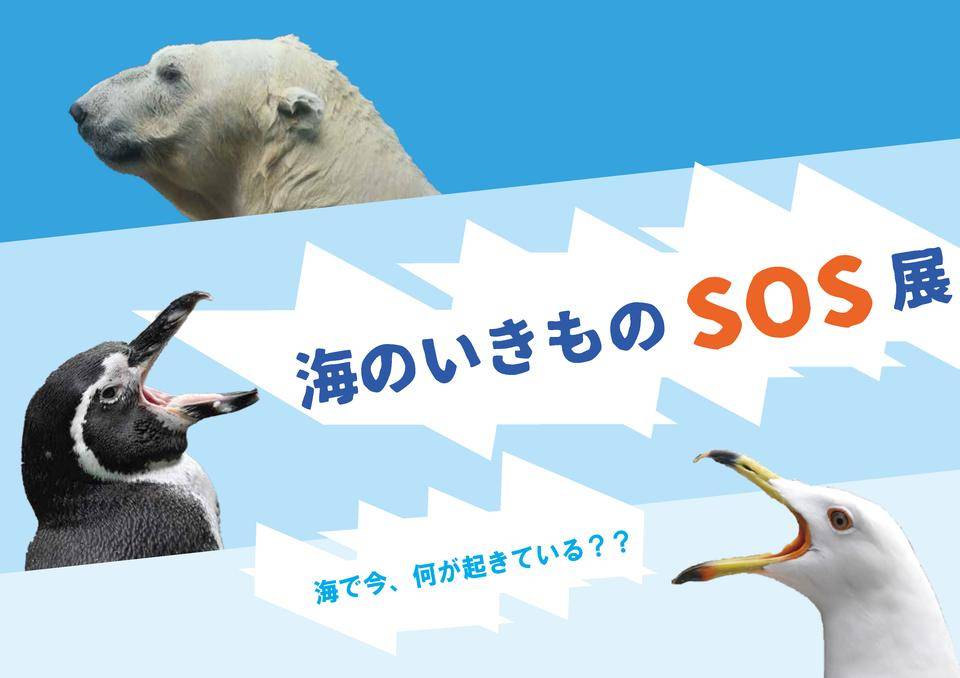海のいきものSOS展の写真