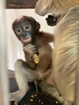 味見してみよう！☆*+。