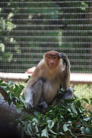 エミ撮影会☆*+。