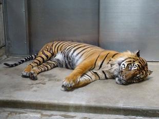 休める場所が増えました