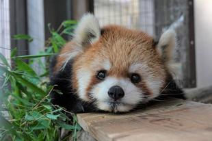 ララ、17歳♪♪