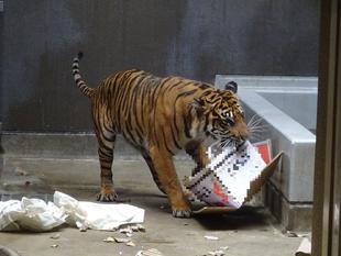 ラウトに対し・・・②