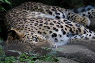 「目力No.1を決めます」っていうお話