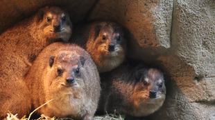 6月27日と28日は何の日？