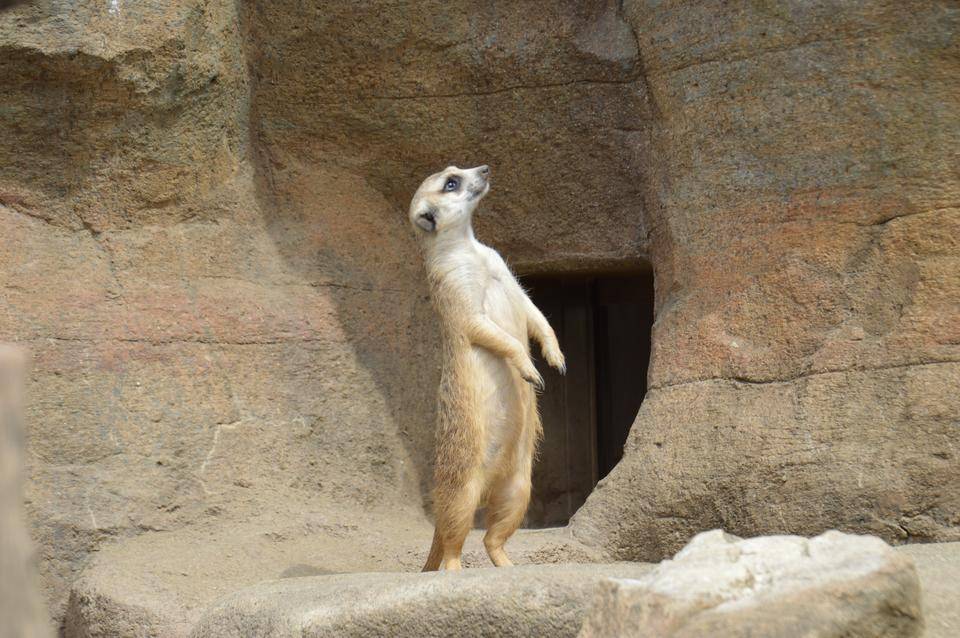 新しい環境の写真