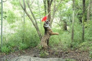 ラウトの誕生日-③