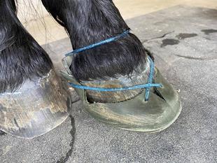 馬のわらじ作り・改良編