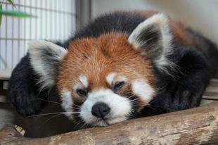 どこ行った！？