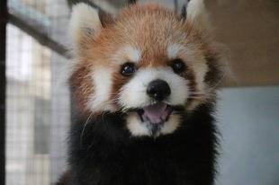 ちょっとリフォームしました