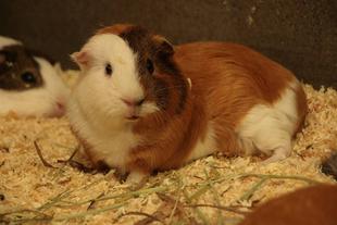 スッキリ、さっぱり！