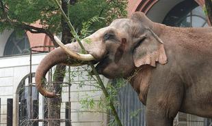 七夕の特別餌プレゼント☆彡