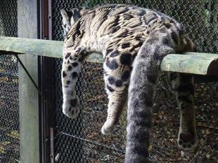 高齢者に優しい施設に･･･