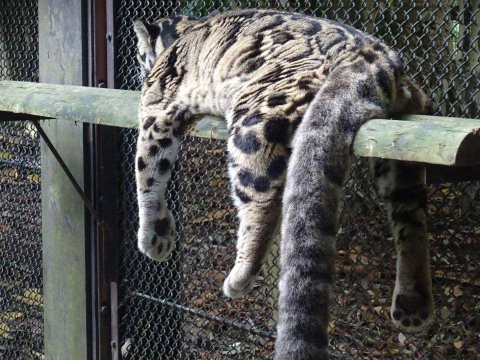 高齢者に優しい施設に・・・の写真