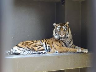 産みの親なのに・・・