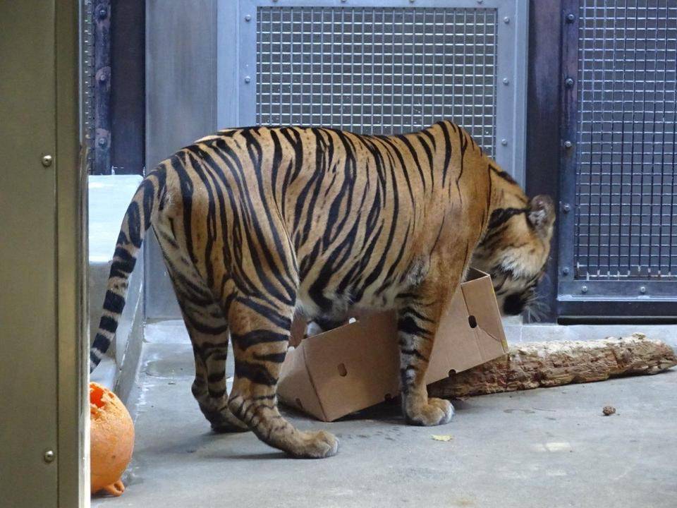ムジュにも!の写真