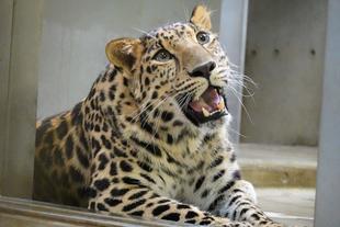 トライに遊具をあげてみました③