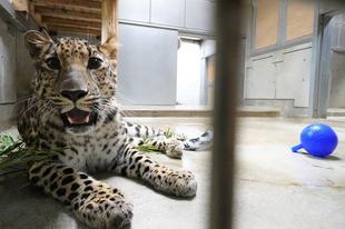 トライに遊具をあげてみました②