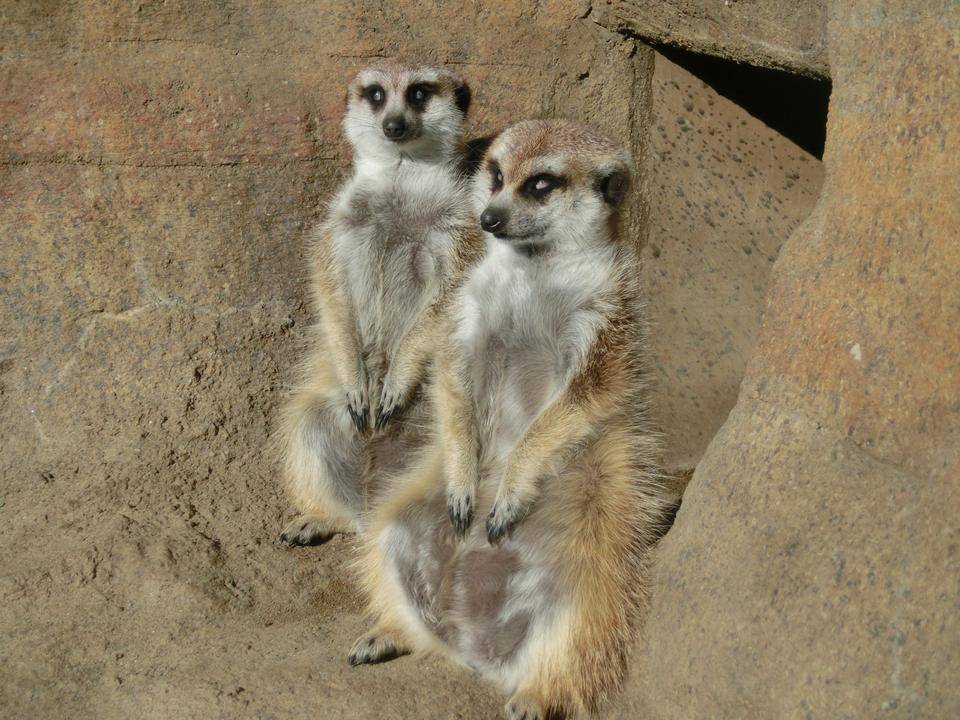 白目むき出し変顔!?の写真