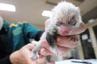 6月10日に・・・☆