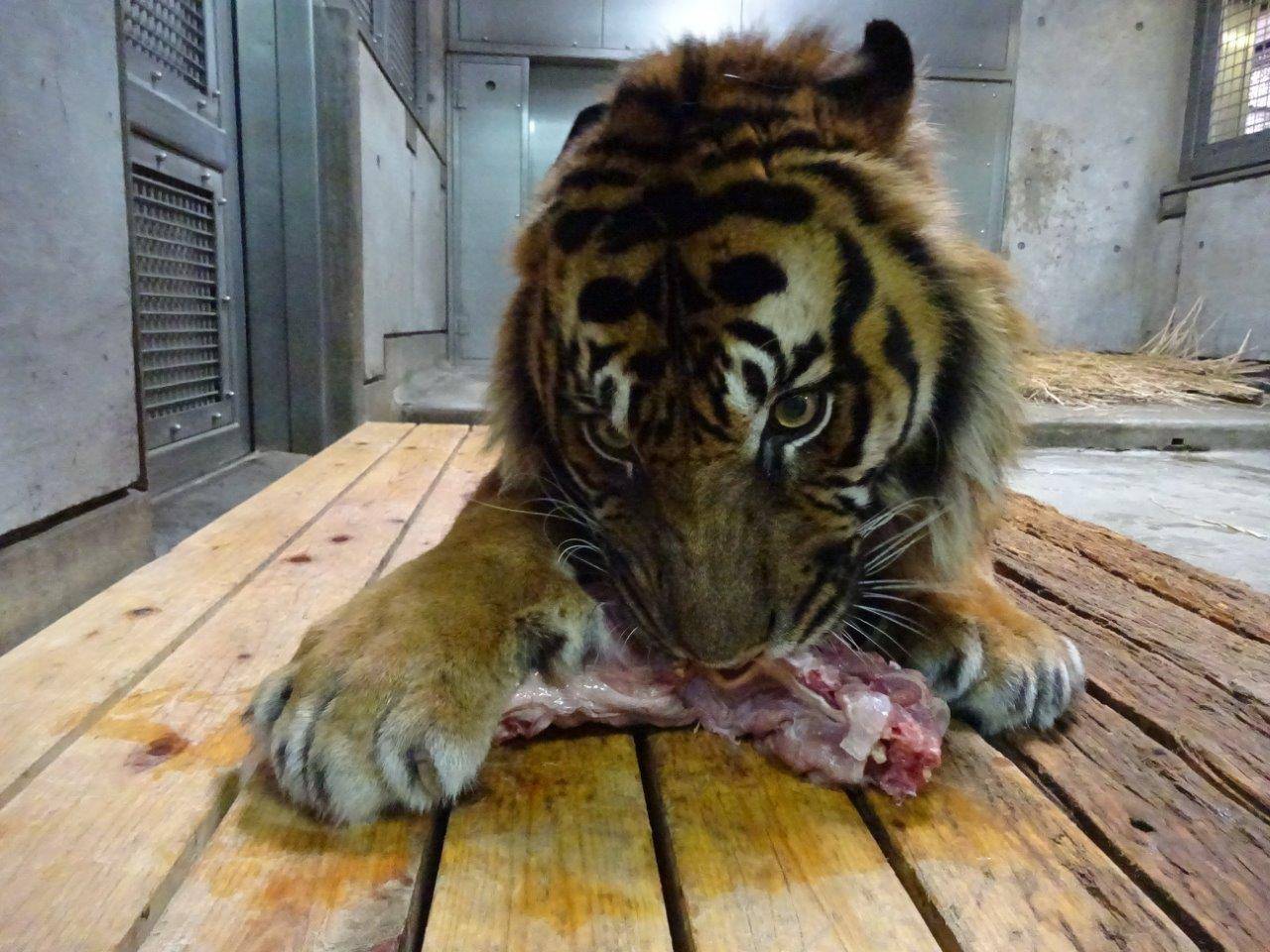 汚名返上??の写真