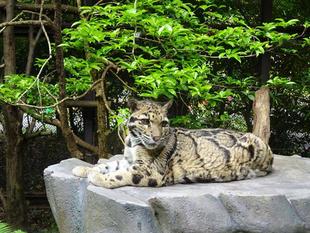 もうすぐ誕生日！！