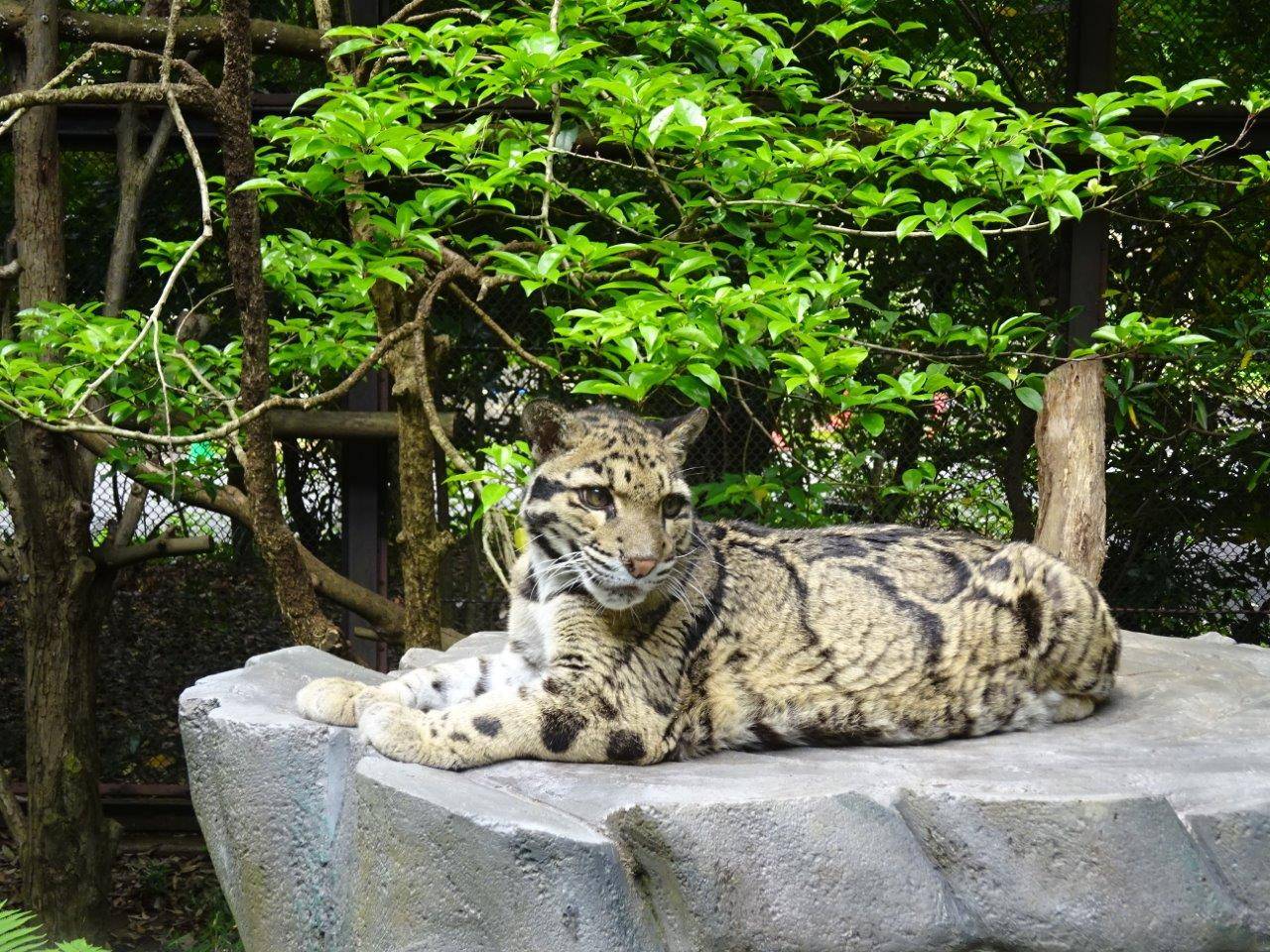 もうすぐ誕生日!!の写真