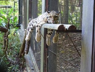 アニル、誕生日おめでとう!!