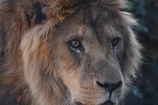 休園日のお仕事紹介