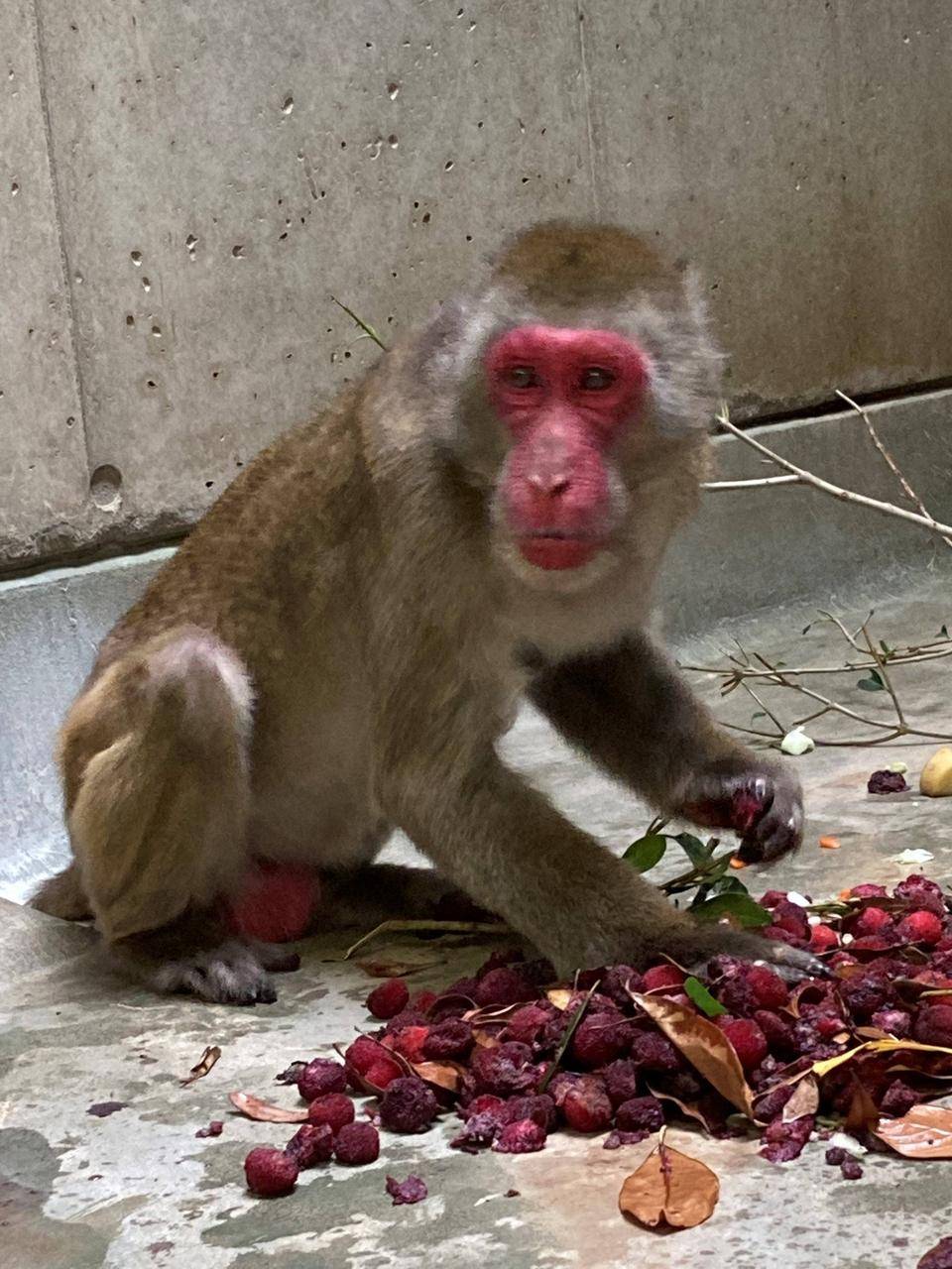 食欲の‥‥の写真