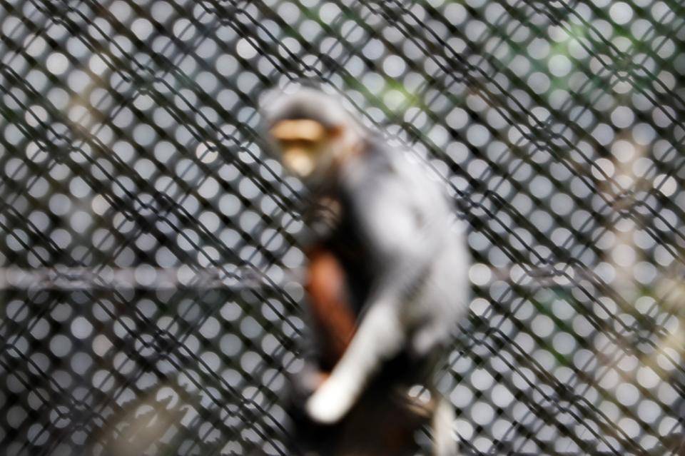 「もう一度ボツ画像No.1を決めよう」っていうお話の写真