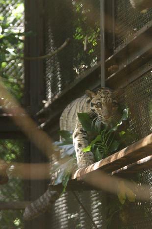 こちらの思った通りに・・・(*^^)v