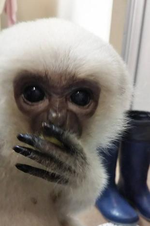 プロイのお食事タイム