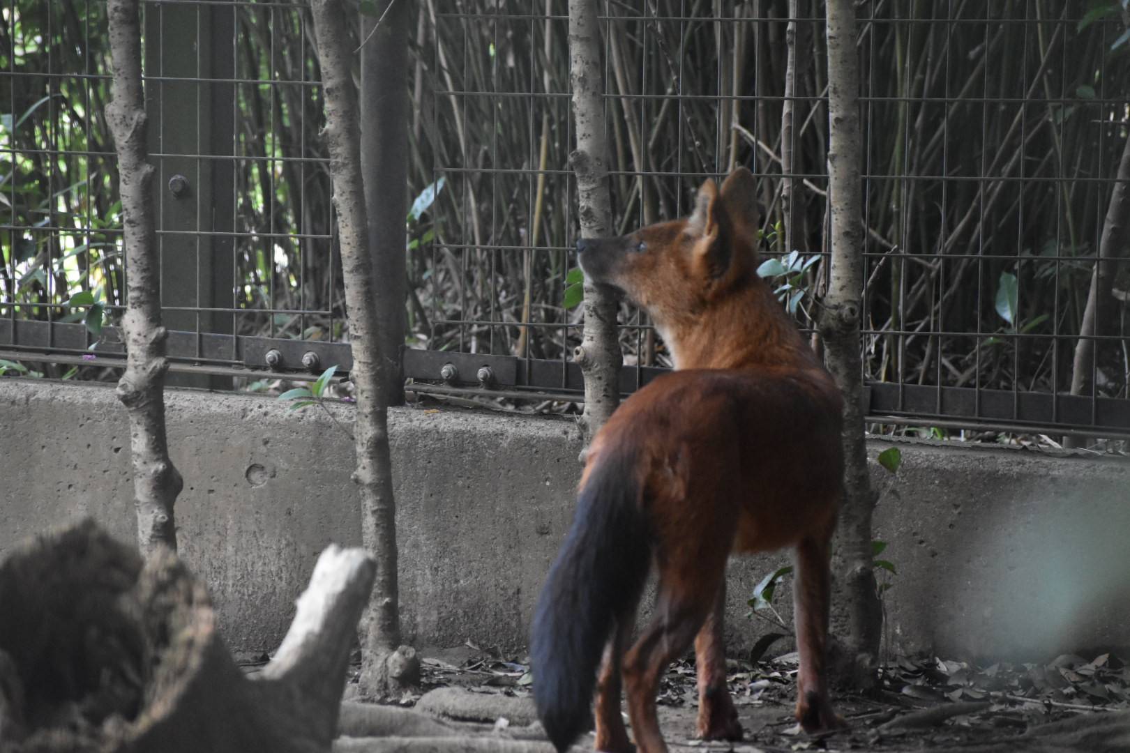 お待ちかね!の写真