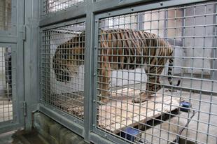 8月末の体重測定