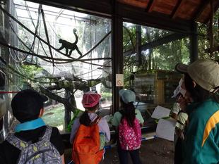 夏休み宿題教室「動物のヒミツ発見！」を実施しました‼