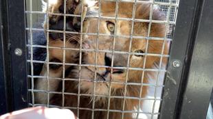 全部食べて欲しいな