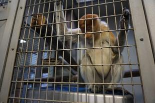 体重測定☆*+。